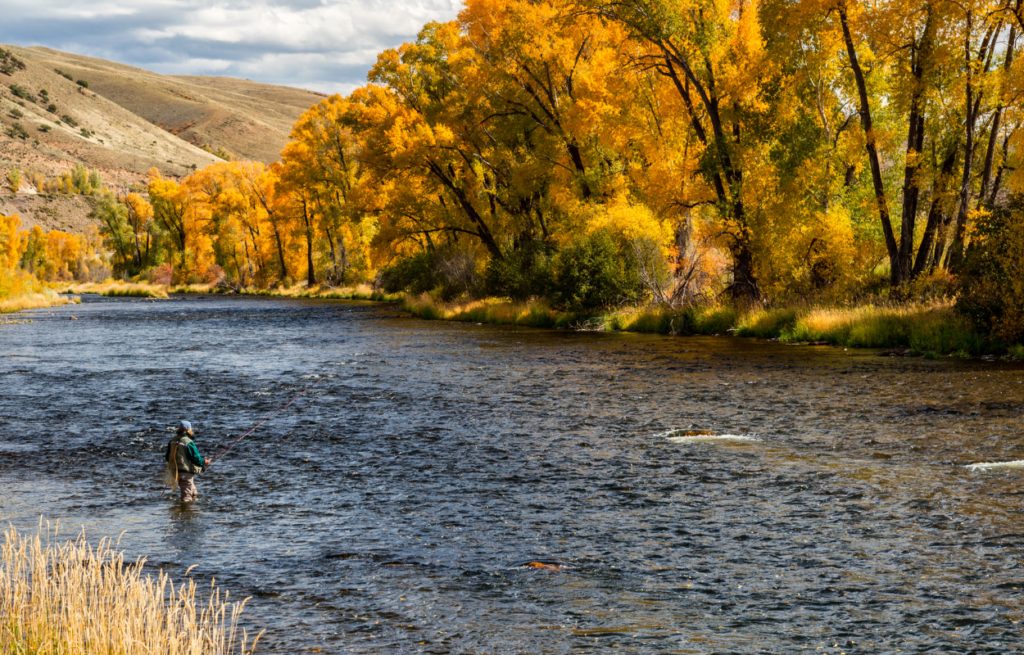 Embrace The Magic Of Fall Fly Fishing In Estes Park Colorado