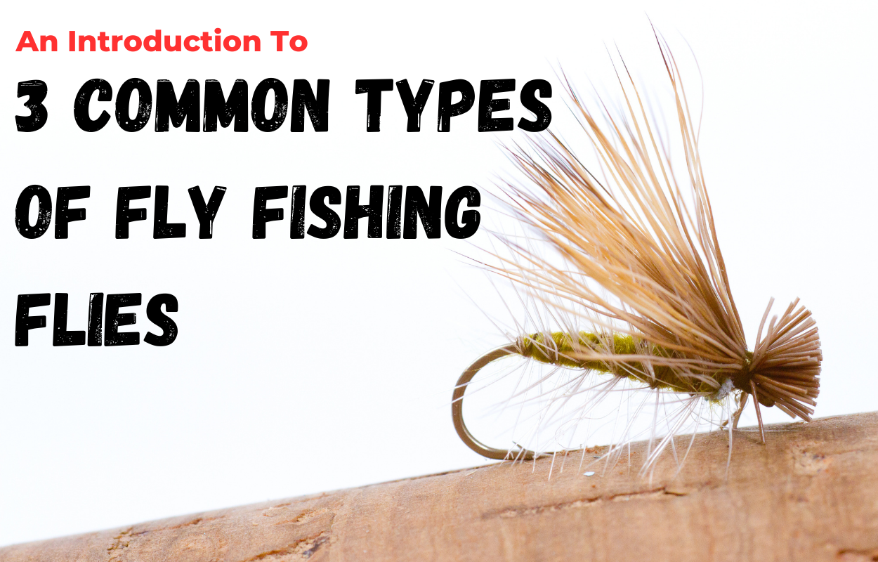 An Introduction to 3 Commons Types of Fly Fishing Flies