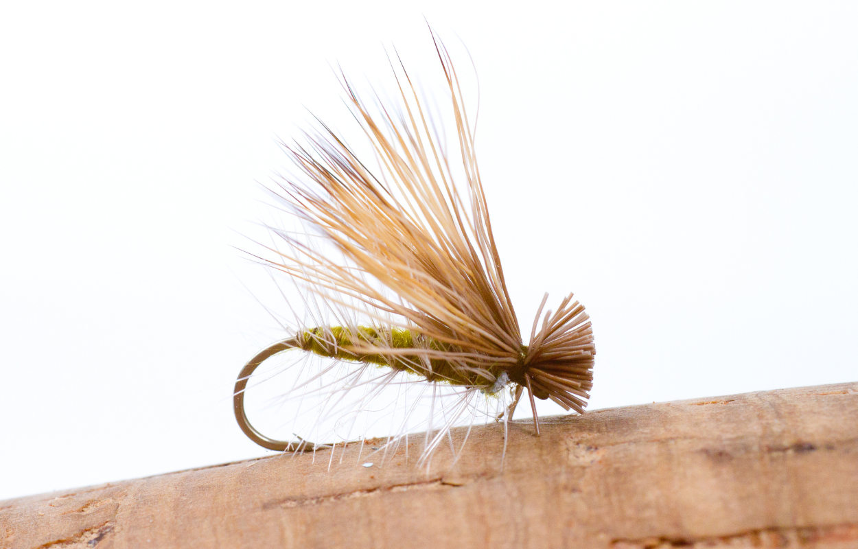 Dry Fly Fishing png images