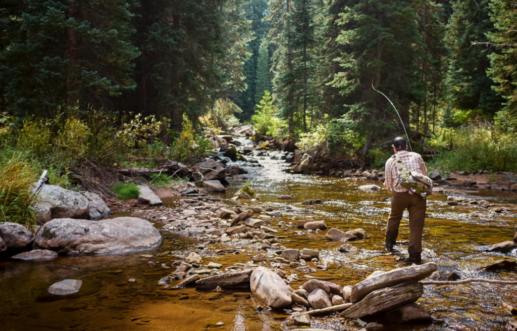 Colorado Fly Fishing Trips | Rocky Mountain Natl. Park Tours