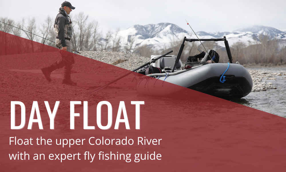 Guided Colorado River Fly Fishing Trips